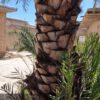 خانه 550 متری ویلایی حمیدیه