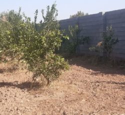 زمین باغچه