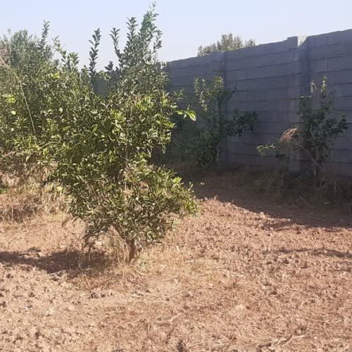 زمین باغچه
