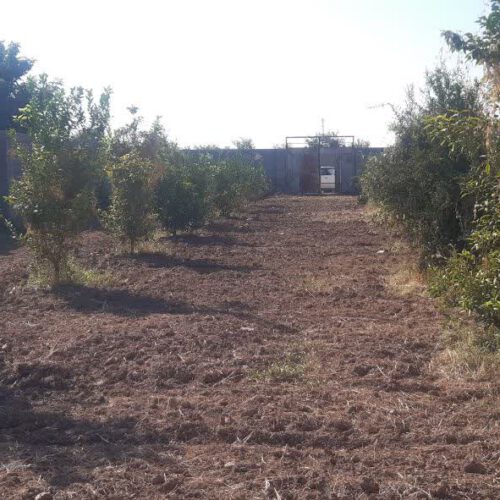 زمین باغچه