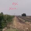 فروش زمین شهر منتظران دزفول
