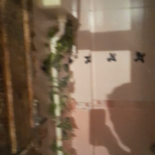 آپارتمان فروشی