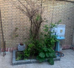 خانه کلنگی قابل سکونت