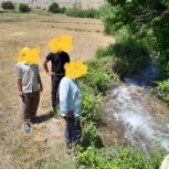 فروش زمین برنجکاری درایذه سوسن