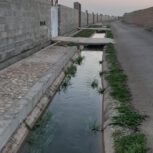 زمین-باغچه