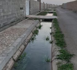 زمین-باغچه