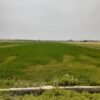 زمین کشاورزی