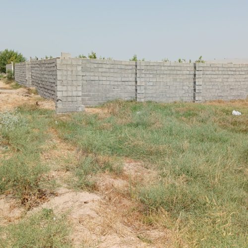 فروش زمین باغ 500 متری سر نبش