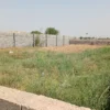 فروش زمین باغ 500 متری سر نبش