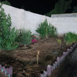 باغ ویلا واسطبل پرورش اسب