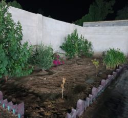 باغ ویلا واسطبل پرورش اسب