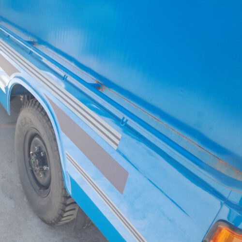 نیسان دوگانه آبشنال