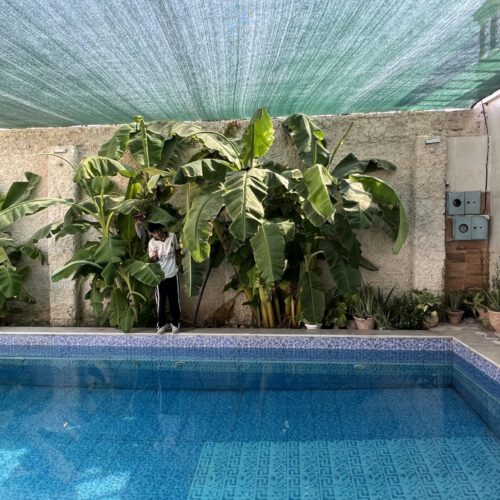 روش ویلا باغ لوکس در دزفول