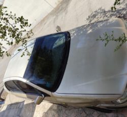 سمند معمولی