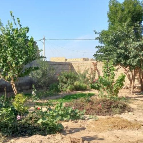 فروش دو قطعه 250 مترمربع زمین باغ