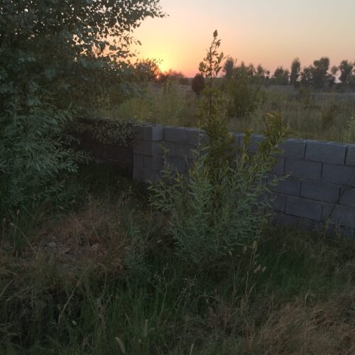 باغچه 500متری