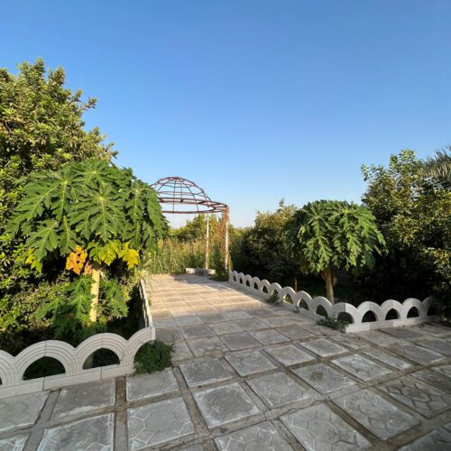 ویلای 1000متری دزفول