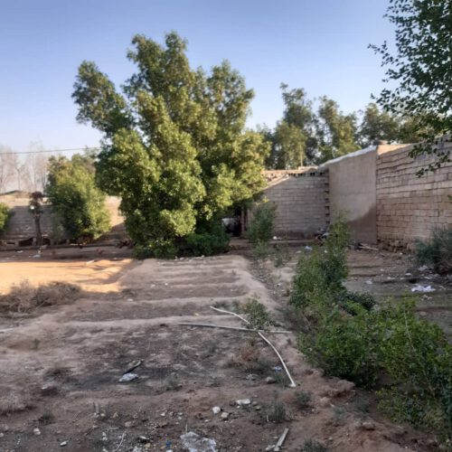 کارگاه