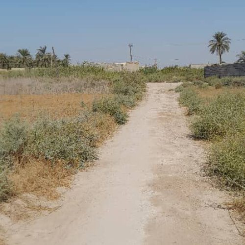 زمین 5096