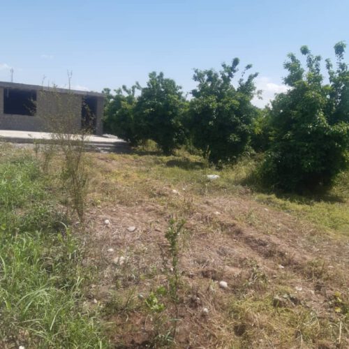 باغچه نیمه ساز
