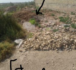 زمین 200متری فرهنگیان علی آباد