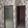طلای