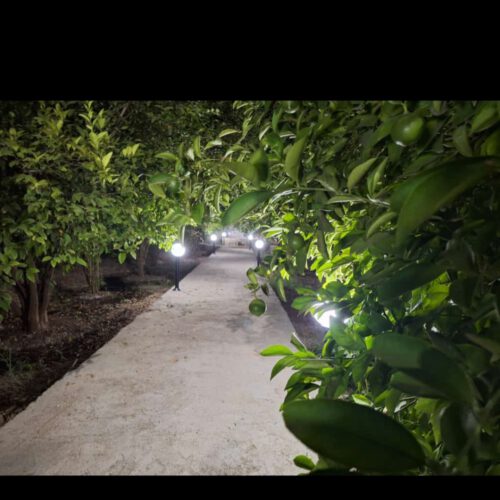 فروش باغ ویلا