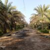 باغ جهت مشارکت ساخت و ساز شهرک ویلایی