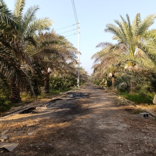 باغ جهت مشارکت ساخت و ساز شهرک ویلایی