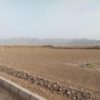 زمین 250متری دارای سند تک برگ جمهوری