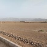 زمین 250متری دارای سند تک برگ جمهوری