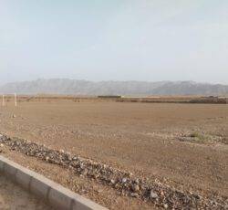 زمین 250متری دارای سند تک برگ جمهوری