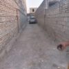 کوی علوی مندلی خیابان مندلی 5