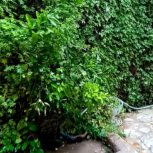 خانه ویلایی مرکز شهر 216متری سند تک برگ