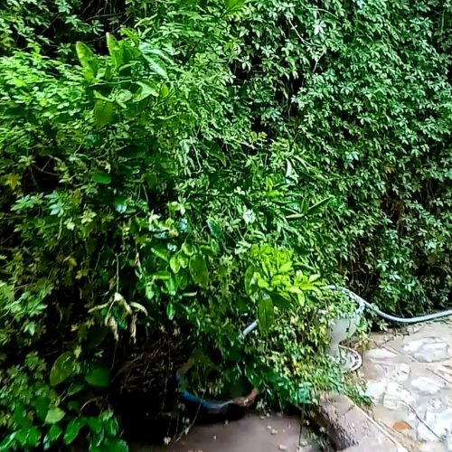 خانه ویلایی مرکز شهر 216متری سند تک برگ