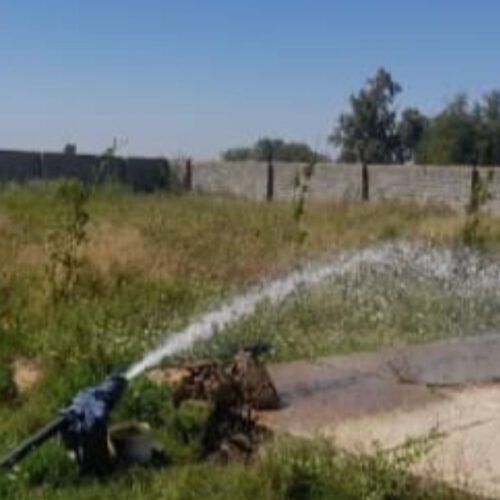 فروش سه ملک هزارمتری با سه سند