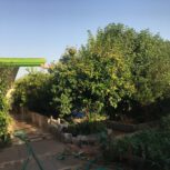 ویلا باغ زندگی