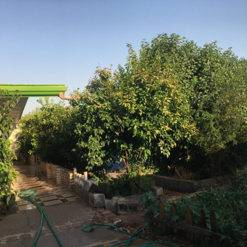ویلا باغ زندگی
