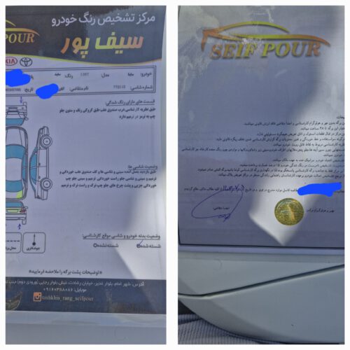ساینا معمولی