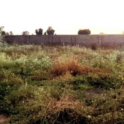 فروش سه ملک هزارمتری با سه سند