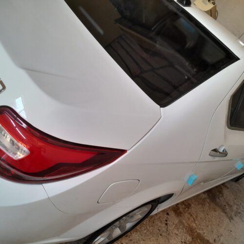 دنا پلاس اپشنال