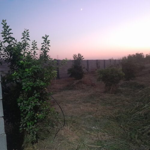 فروش زمین باغ محدوده ج سد دز اندیمشک