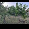 باغ یاسوج روستای وزگ متراژ 1000
