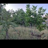 باغ یاسوج روستای وزگ متراژ 1000