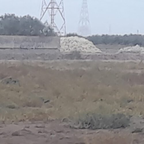 زمین