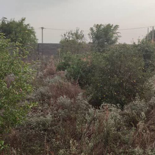 فروش ویلا زمین خالی فقط دارای باغ