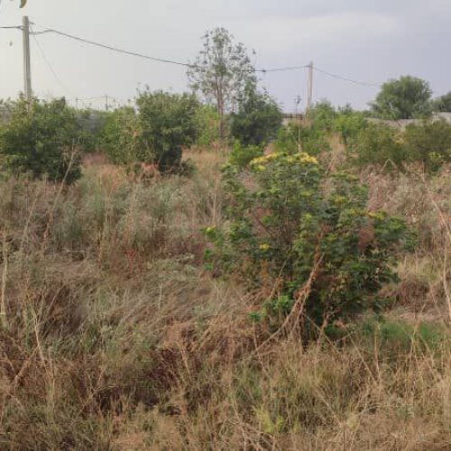 فروش ویلا زمین خالی فقط دارای باغ