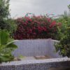 فروش ویلا باغ در دزفول