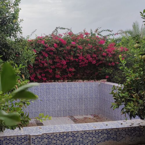 فروش ویلا باغ در دزفول