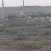 زمین